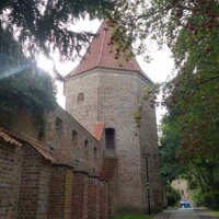 Stadtführungen, Stadtrundfahrten und Hafenrundfahrt Rostock: Rostock Alte Stadtmauer