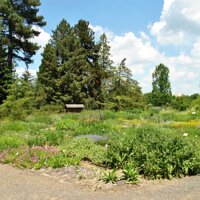 Botanischer Garten Dresden
