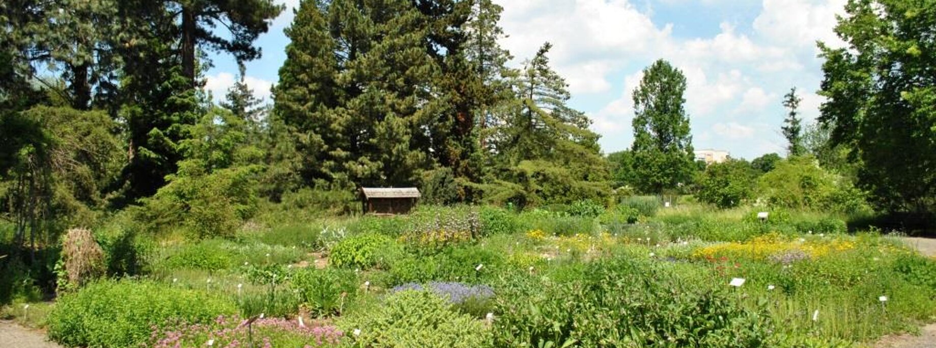 Botanischer Garten Dresden, Quelle: TU Dresden
