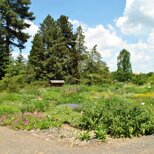 Botanischer Garten Dresden