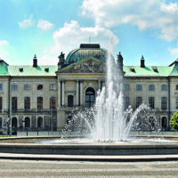 Senckenberg Naturhistorische Sammlungen Dresden: Senckenberg Naturhistorisches Museum Dresden