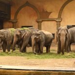 Tierpark  und Tropen-Aquarium Hagenbeck: Tierpark und Tropenaquarium Hagenbeck Hamburg