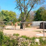 Zoo Dresden