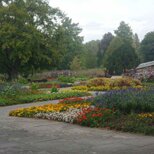 Kleinbahn im RheinPark: RheinPark